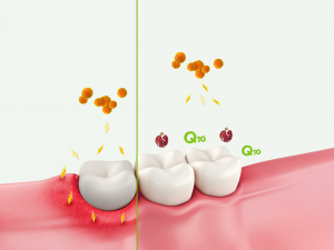 GUM® ActiVital® Q10 – Mundhygiene „at its best“