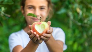 Gesund durch die Grippesaison: Regionale Vitamin-C-Booster für dein Immunsystem