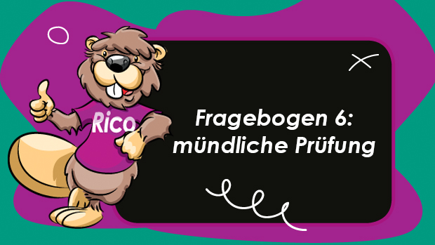 Fragebogen-6