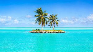 Neu im Team: Warum eingespielte Praxisteams für Neulinge wie eine Insel wirken